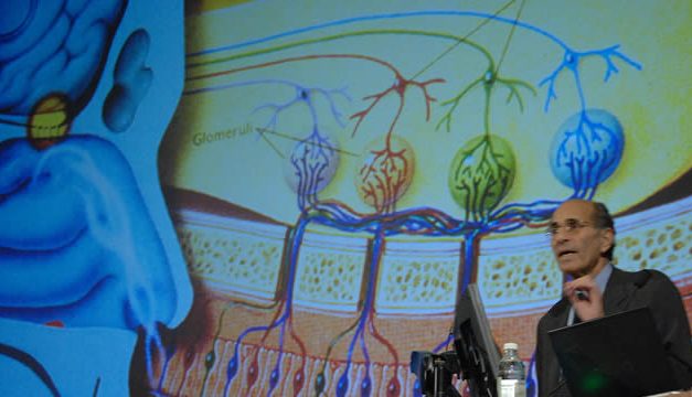 Richard Axel – Peneliti Indera Penciuman Peraih Nobel