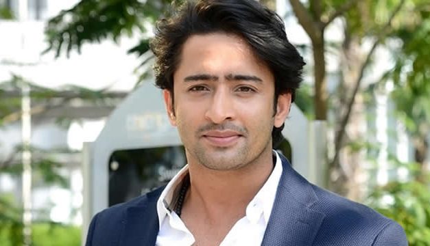 Shaheer Sheikh – Arjuna Dari Bollywood