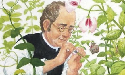 Gregor Mendel – Dari Biarawan Menjadi Bapak Genetika