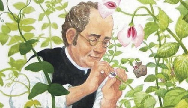 Gregor Mendel – Dari Biarawan Menjadi Bapak Genetika
