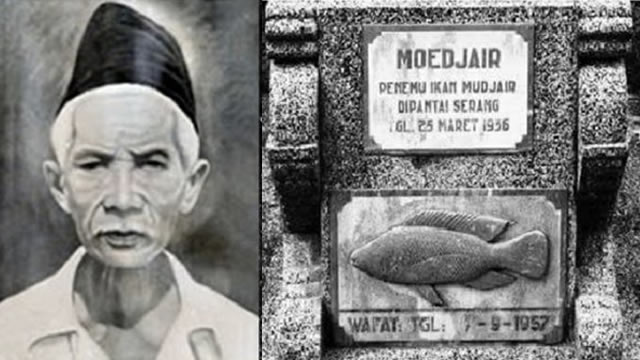 Iwan Dalauk (Mbah Moedjair) – Penemu Ikan Mujair